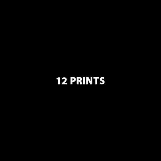 4 Inch Prints Bundle
